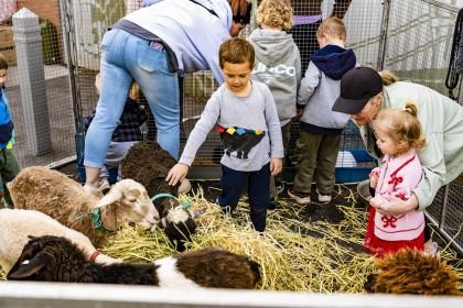 petting zoo at red nose day 